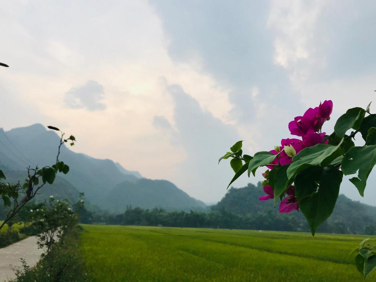 Jomo House Mai Chau Hotel Hòa Bình Kültér fotó